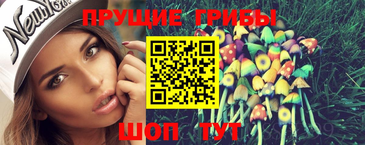 Галлюциногенные грибы прущие грибы  Псилоцибиновые грибы Psilocybine cubensis  Курчалой  Вход с VPN 